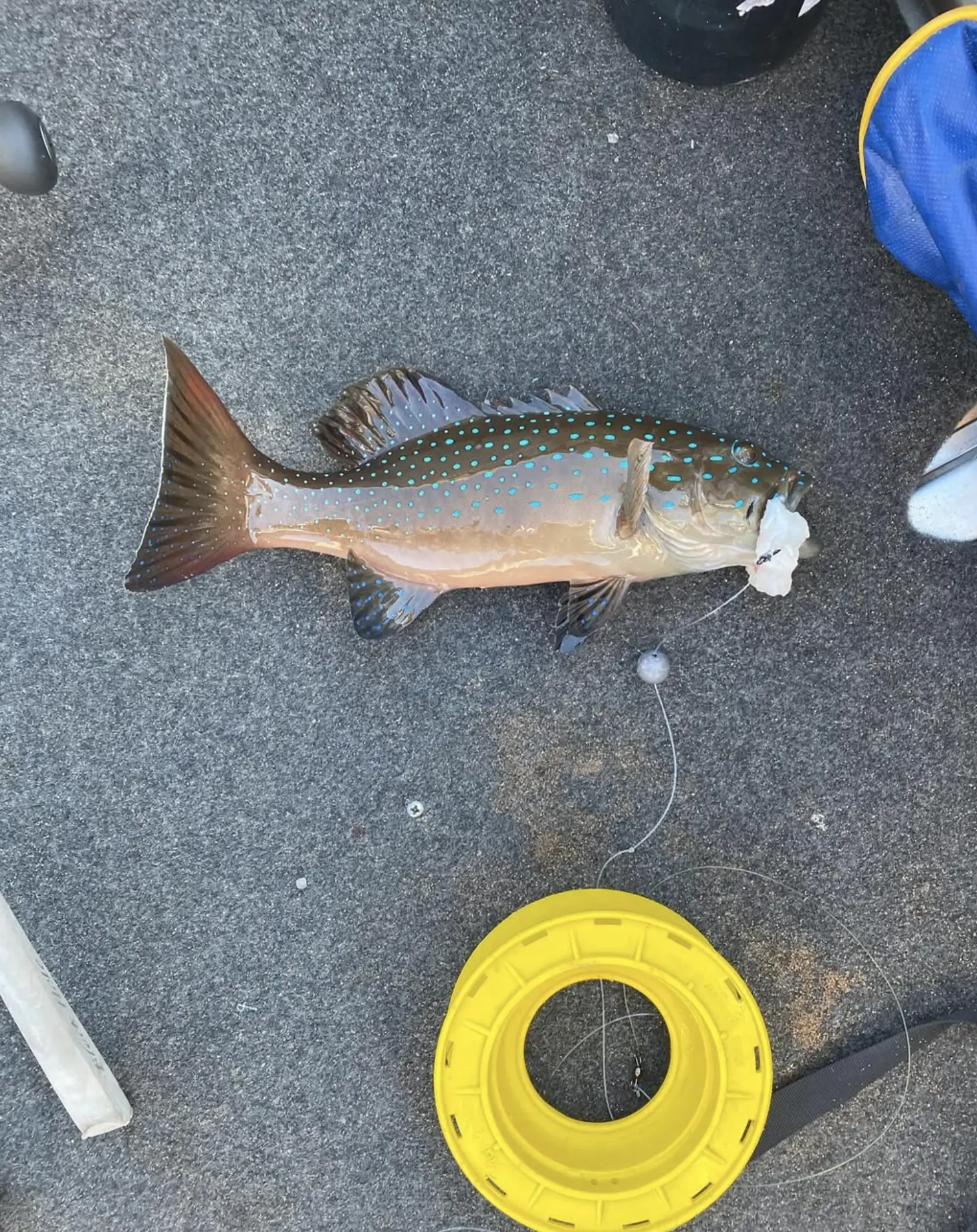 Nanga Bay Fishing Spots