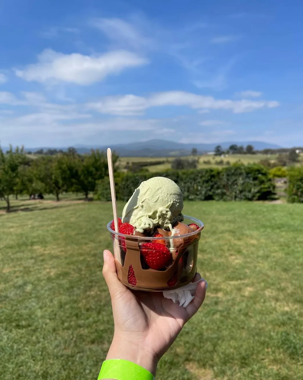 Yarra Valley tour