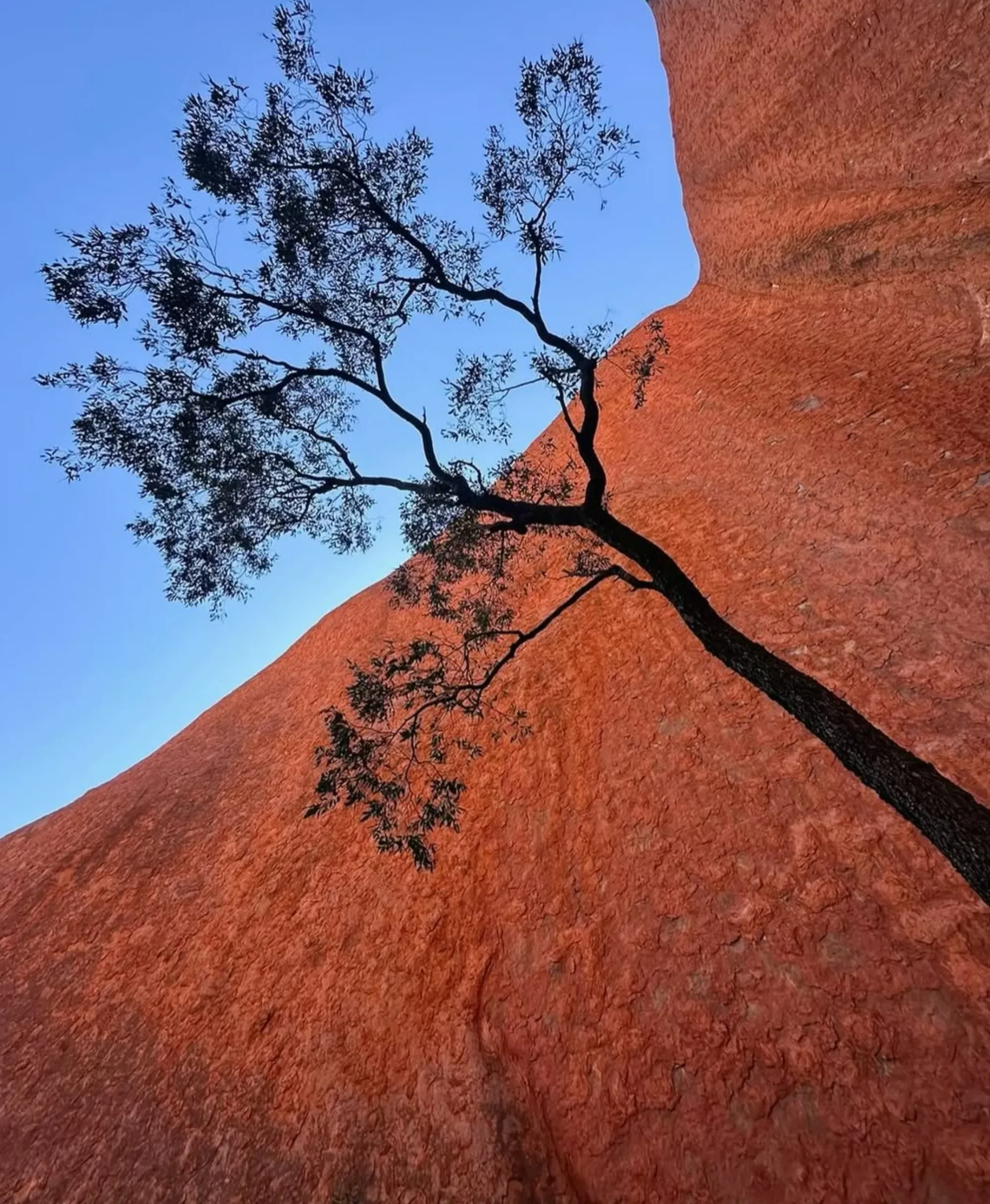 Uluru-Kata Tjuta facilities