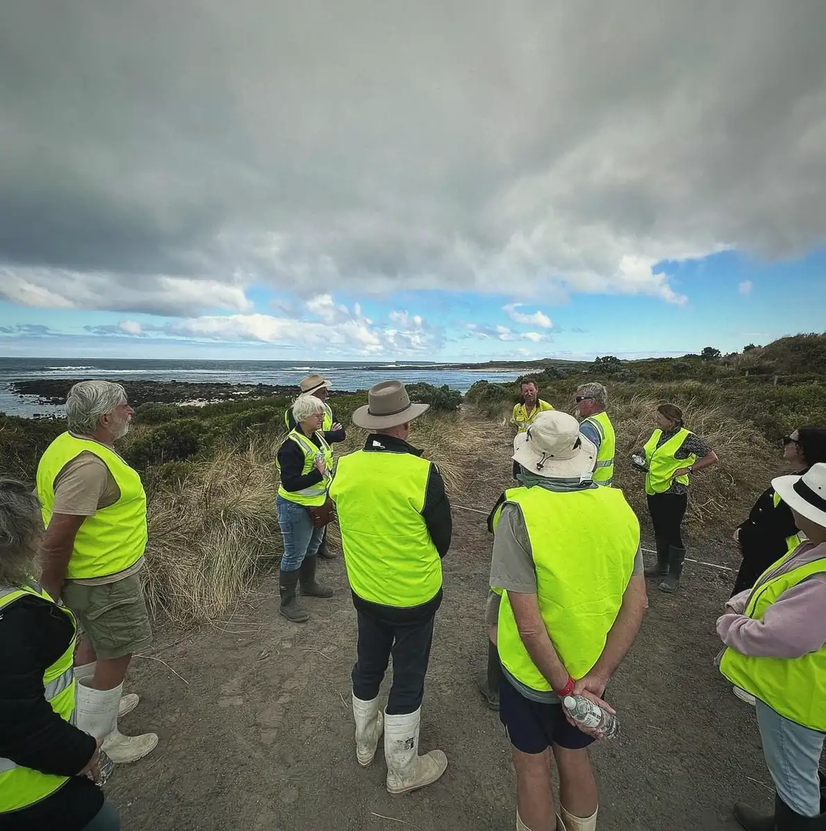 Great Ocean Road trips